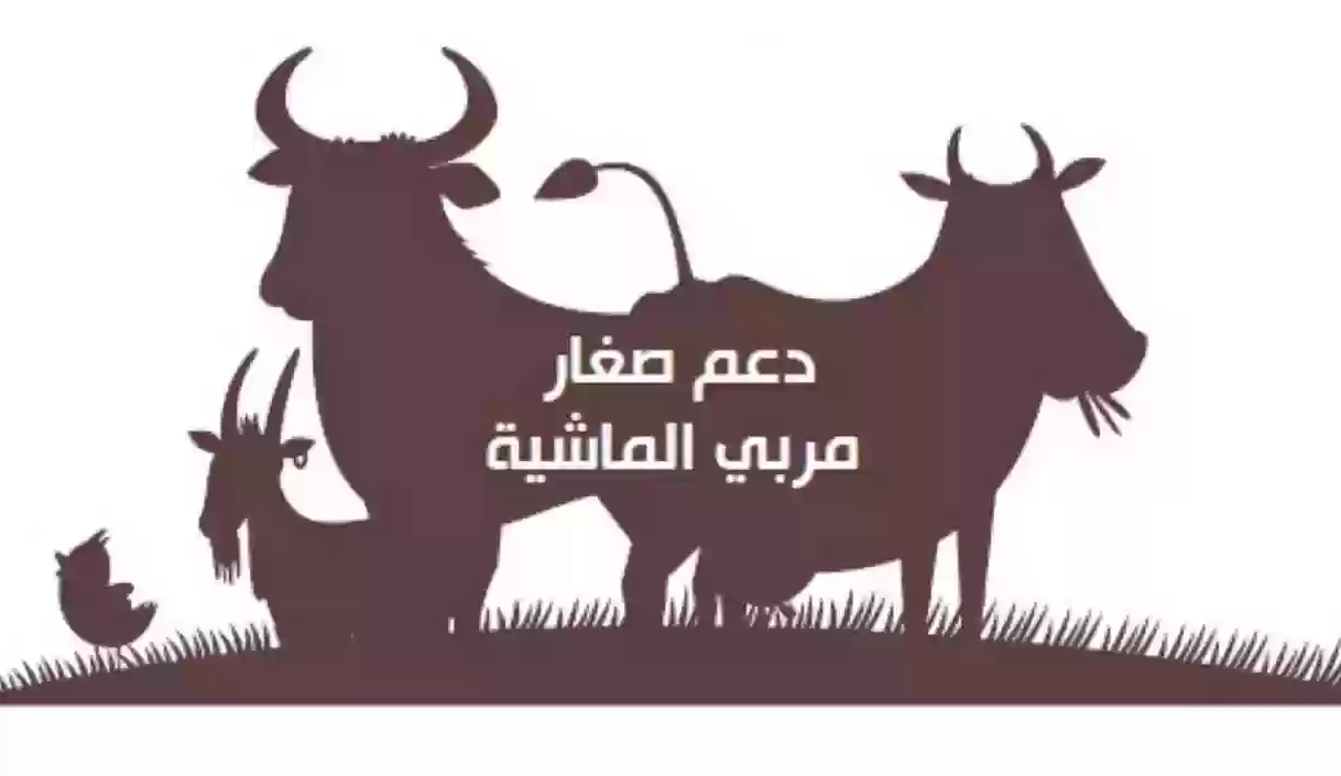 دعم المواشي متي ينزل هذا الشهر وشروط الحصول على إعانة مربي الماشية